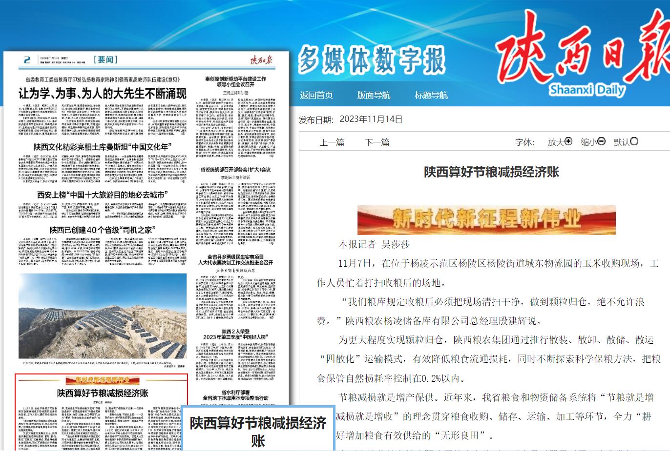 陜西日報：陜西算好節糧減損經濟賬