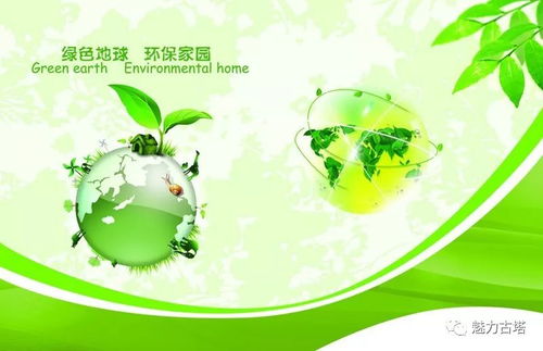 垃圾分類我先行 爭做環(huán)保小達(dá)人