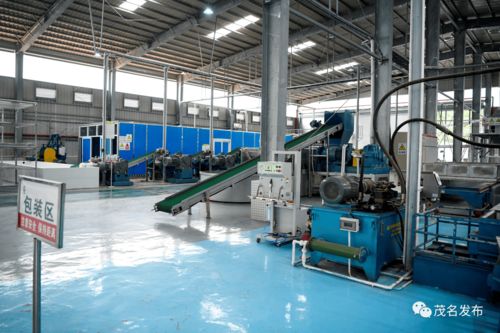 莊悅群調研茂名農墾工作 推動墾地在新發(fā)展階段深度融合發(fā)展